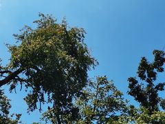 -终南山南五台景区