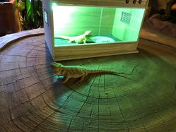 -酷嗒动物文化乐园(cutezoo西溪乐天城店)