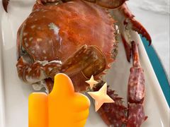 -大锅强·蒸海鲜青岛菜(吾悦广场店)