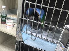 -半岛宠物医院24小时(科华中路店)