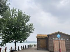 -武清南湖绿博园