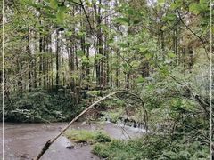 -桤木河湿地公园