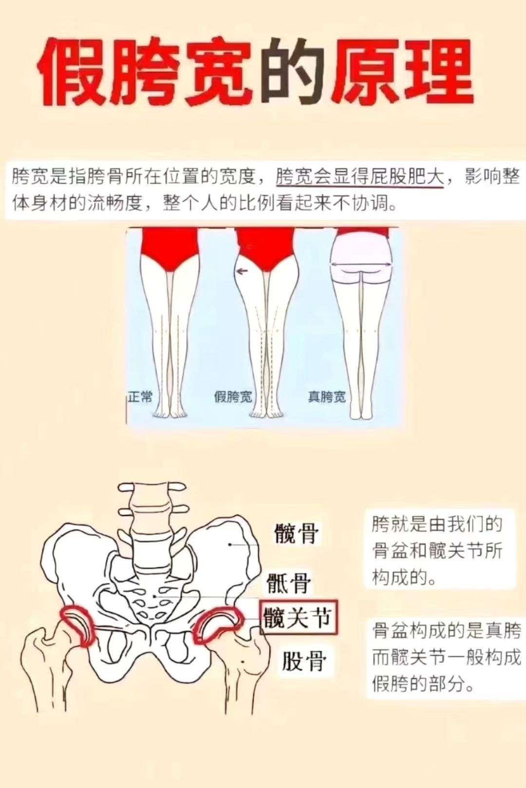 产后假性胯髋的危害
