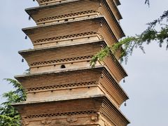 -洛阳白马寺