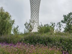 -上海滨江森林公园