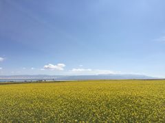 -青海湖国家重点风景名胜区