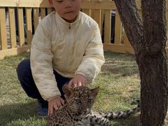 -鄂尔多斯野生动物园