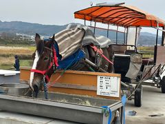 -岚山嵯峨野观光小火车