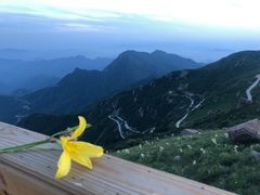 -白草畔自然风景区