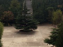 -龙口南山旅游景区