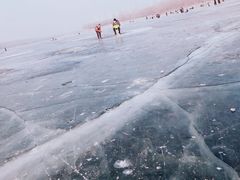 -丁香湖公园