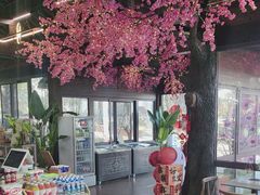 -金鸡湖桃花岛