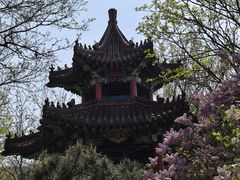 -大连植物园