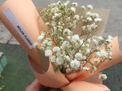 -花木兰花艺MULAN(温馨花园店)