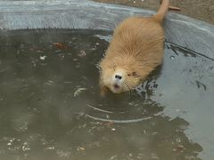 -杭州野生动物世界
