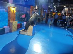 -顺德南宏海立方海洋公园