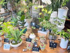 -弗劳尔花艺坊(龙涛店)