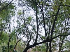 -绍兴启迪乔波冰雪世界