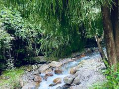 -西岭雪山大飞水景区