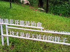 -云溪植物园
