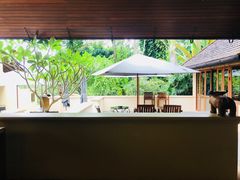 -四季酒店下午茶