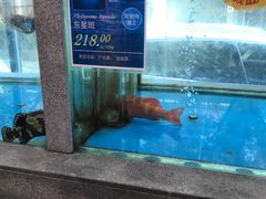 -宝燕海鲜(好爱店)