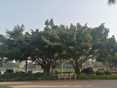 -白鹭洲公园
