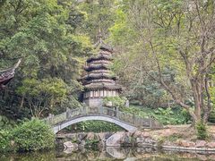 -深圳国际园林花卉博览园