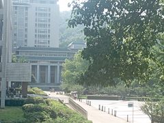 -武汉大学图书馆·文理学部总馆