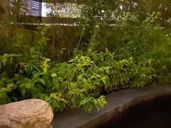 -东山湖温泉度假村