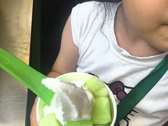 -Salud撒露欧洲冻酸奶(蓝色港湾店)