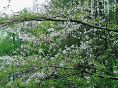 -莹珠阁·私房菜