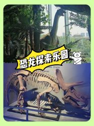 -恐龙探索乐园(磁器口店)