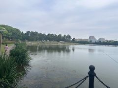 -美兰湖景区