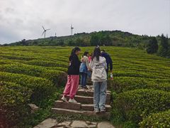 -东白山