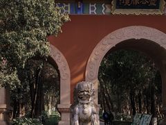 -灵谷景区