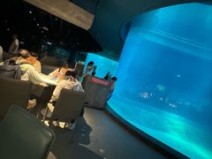 -新加坡飞禽公园