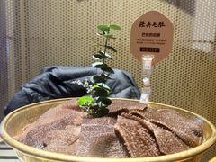 -巴奴毛肚火锅概念餐厅