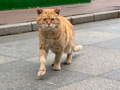 -UNI UNI(环亚凯瑟琳店)