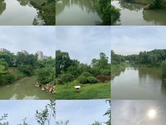 -八大山人梅湖景区