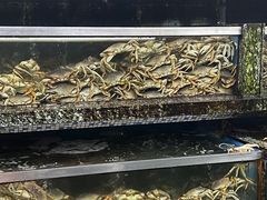 -新农都水产市场