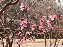 -元大都城垣遗址公园