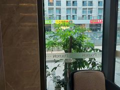 -铂顿国际公寓(广州长隆野生动物世界店)