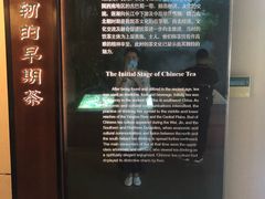 -中国茶叶博物馆(双峰馆区)