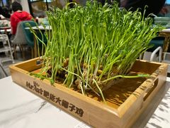 -肥佬大椰子鸡(三里屯3·3大厦店)
