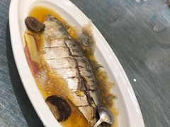 -望乡楼上海菜(日月光店)