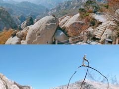 -崂山巨峰游览区