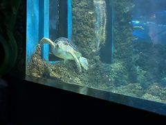-嘉兴海底世界