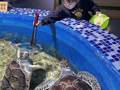 -顺德南宏海立方海洋公园