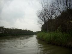 -大湾区中央湿地公园